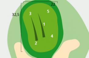 hul5 green